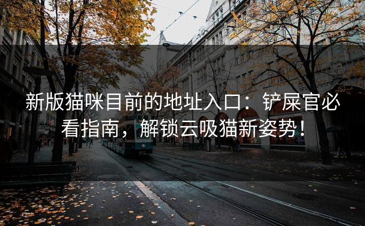 新版猫咪目前的地址入口：铲屎官必看指南，解锁云吸猫新姿势！