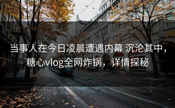 当事人在今日凌晨遭遇内幕 沉沦其中，糖心vlog全网炸锅，详情探秘