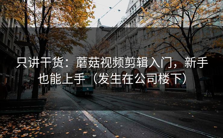 只讲干货：蘑菇视频剪辑入门，新手也能上手（发生在公司楼下）